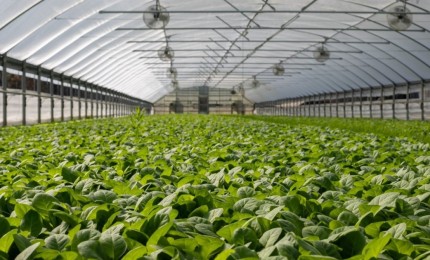 وزارة الزراعة توقّع الدفعة الرابعة من اتفاقيات منح الاستثمار الزراعي