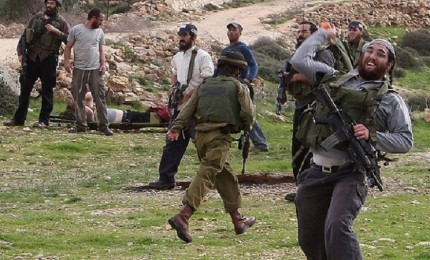 مستوطنون يهاجمون تجمع العراعرة البدوي شمال القدس المحتلة
