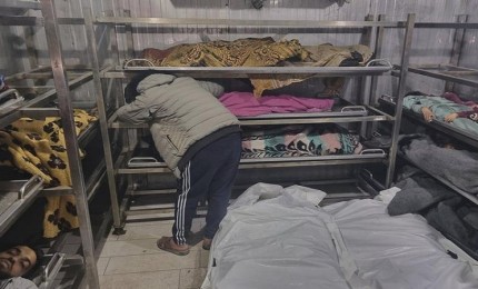 الصحة: 4 شهداء و7 إصابات في غزة خلال 24 ساعة